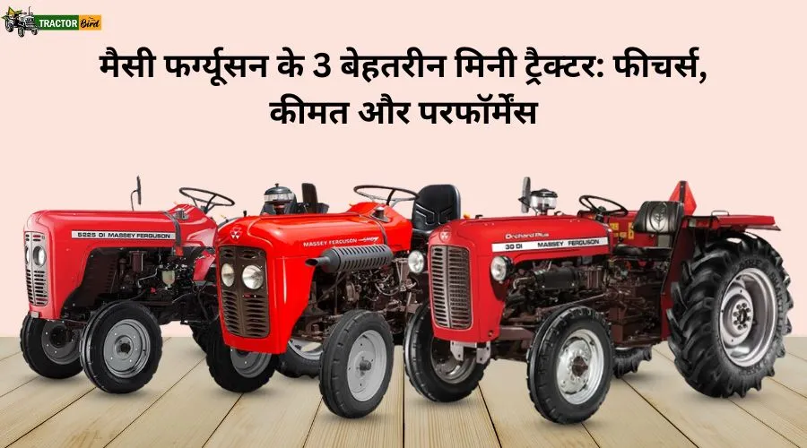 मैसी