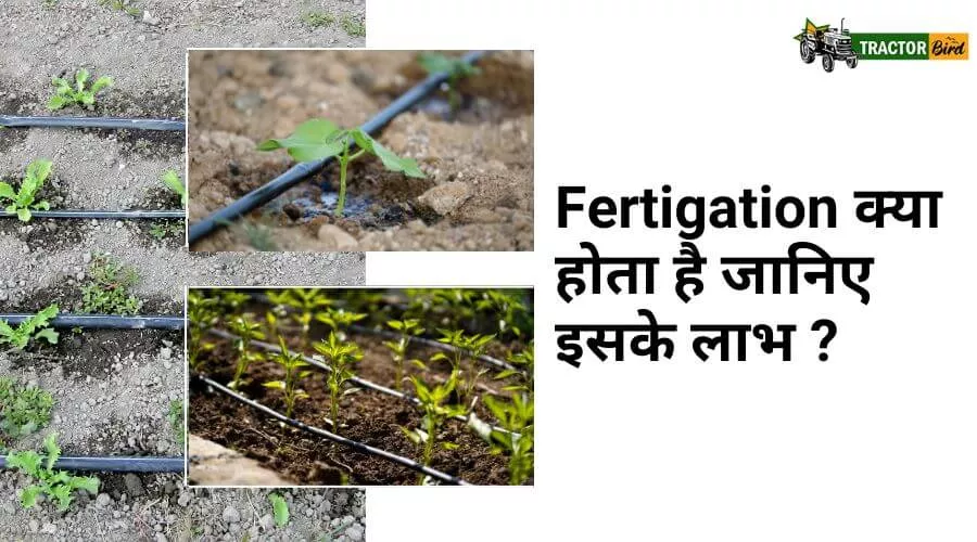 Fertigation