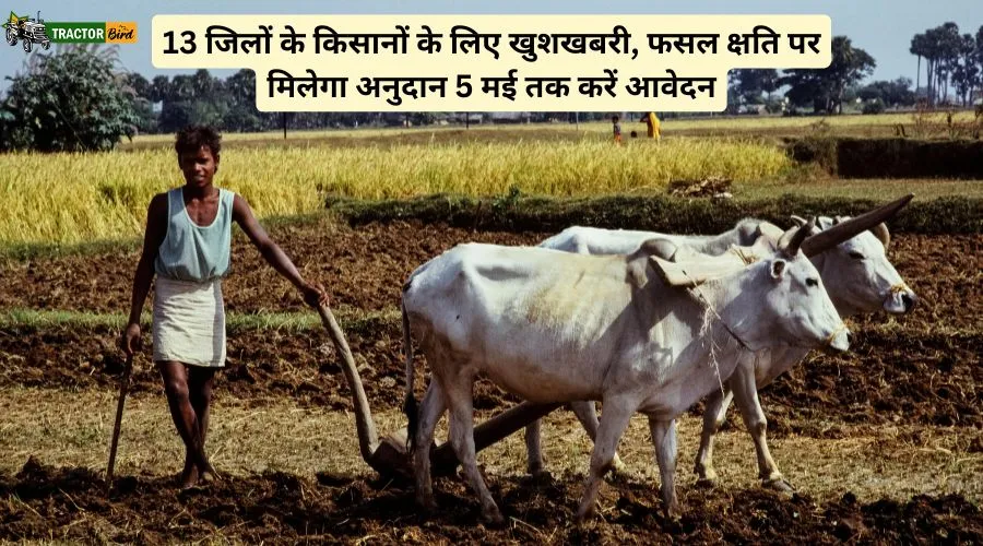 13 जिलों के किसानों के लिए खुशखबरी, फसल क्षति पर मिलेगा अनुदान 5 मई तक करें आवेदन