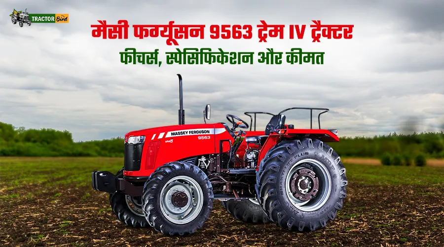 मैसी