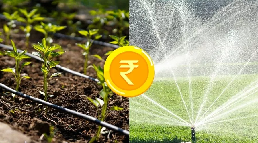 किसानों