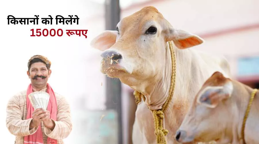 गौपालक