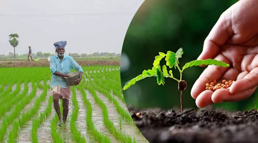 किसानों