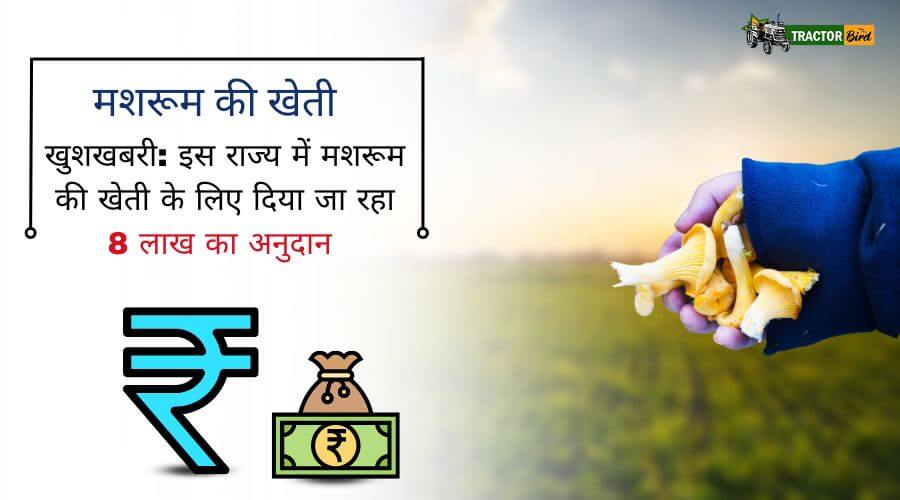 खुशखबरी: