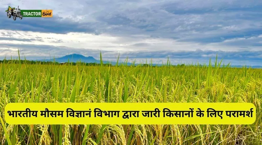 भारतीय