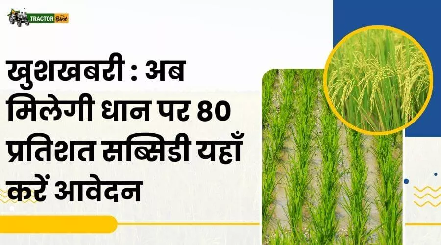 खुशखबरी: