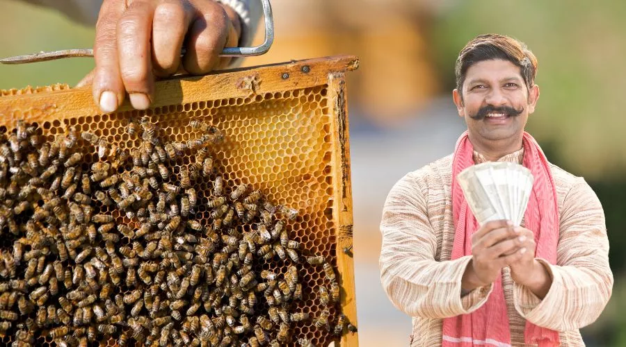 मधुमक्खी