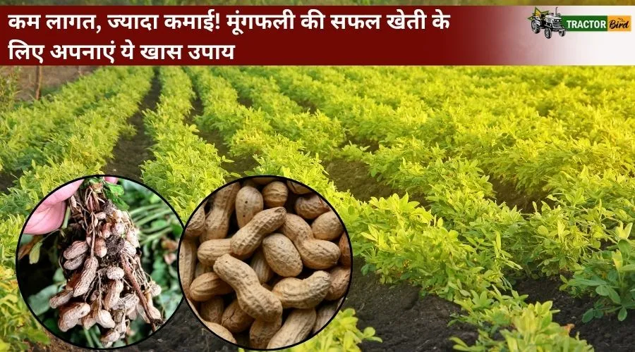 कम