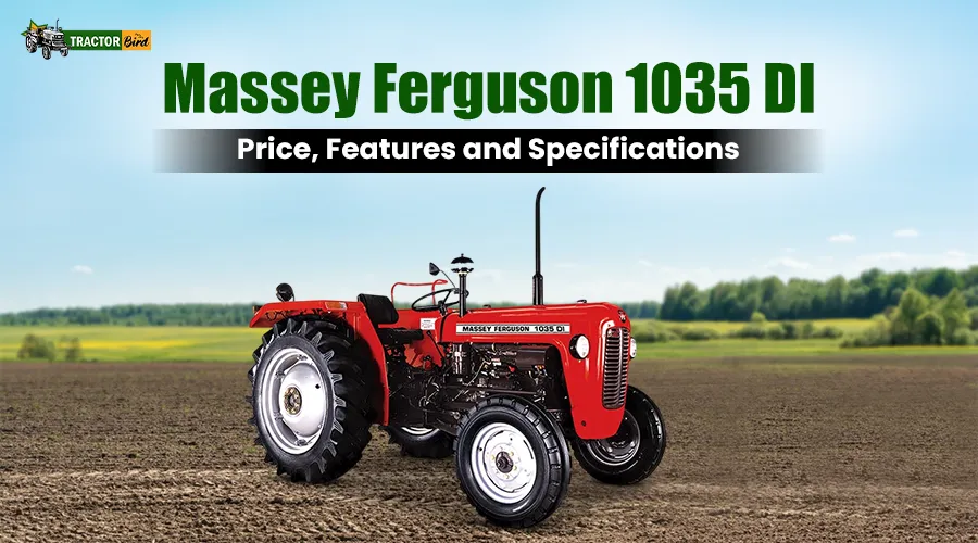 Massey