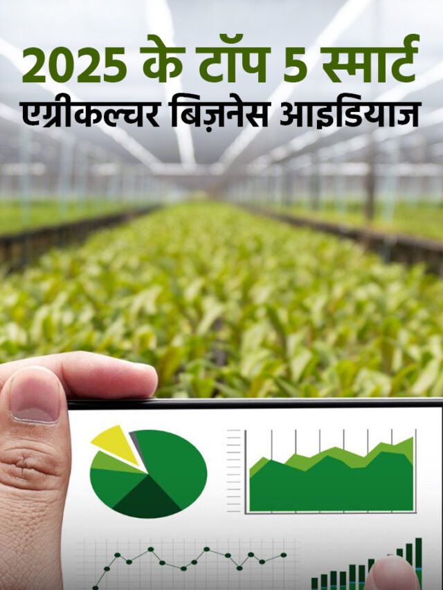 2025 के टॉप 5 स्मार्ट एग्री बिज़नेस नए किसानों के लिए