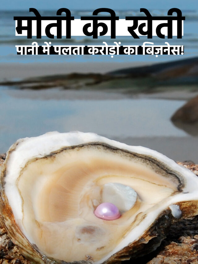 भारत में मोती की खेती कैसे होती है?